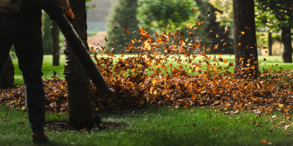 leaf blowing